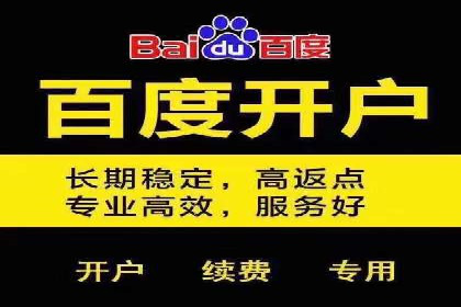 探索SEM代运营公司的经典案例与策略